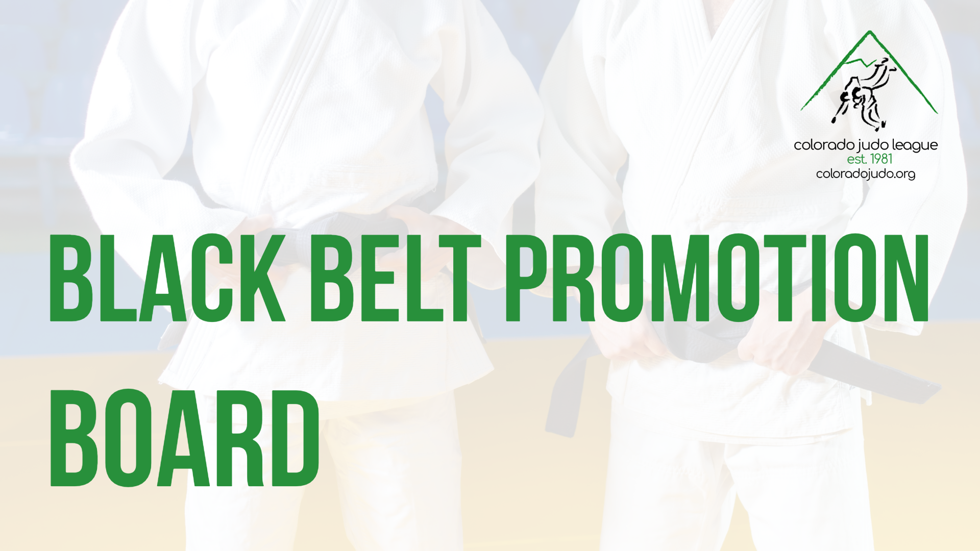 Committee-Black-Belt-Promotion