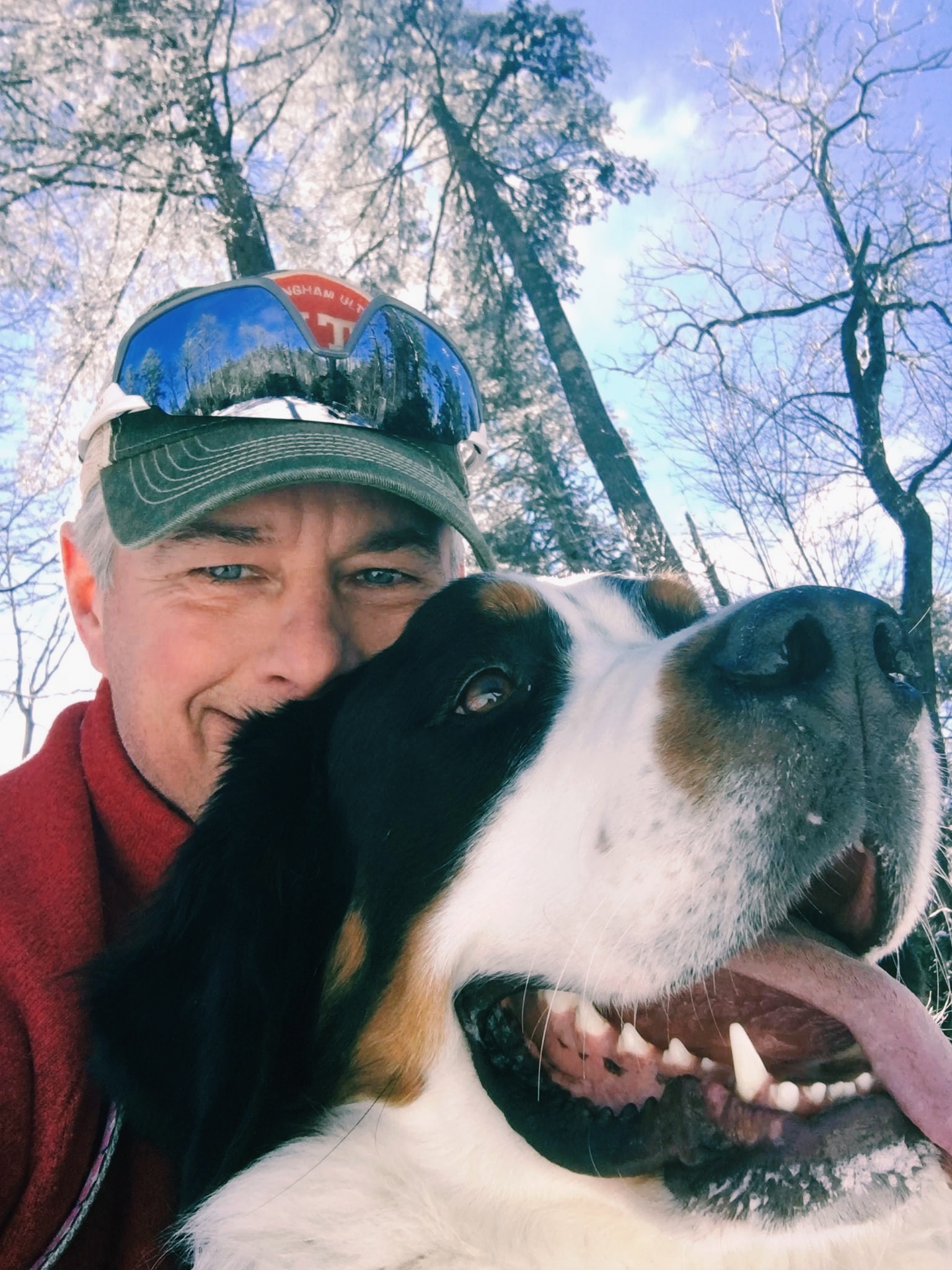 Hugh Ferry profile picture